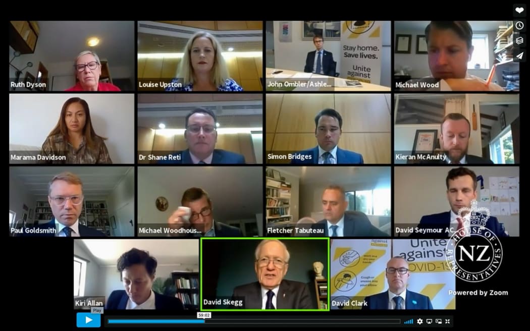 Screenshot of the Epidemic Response Committee listening to David Skegg