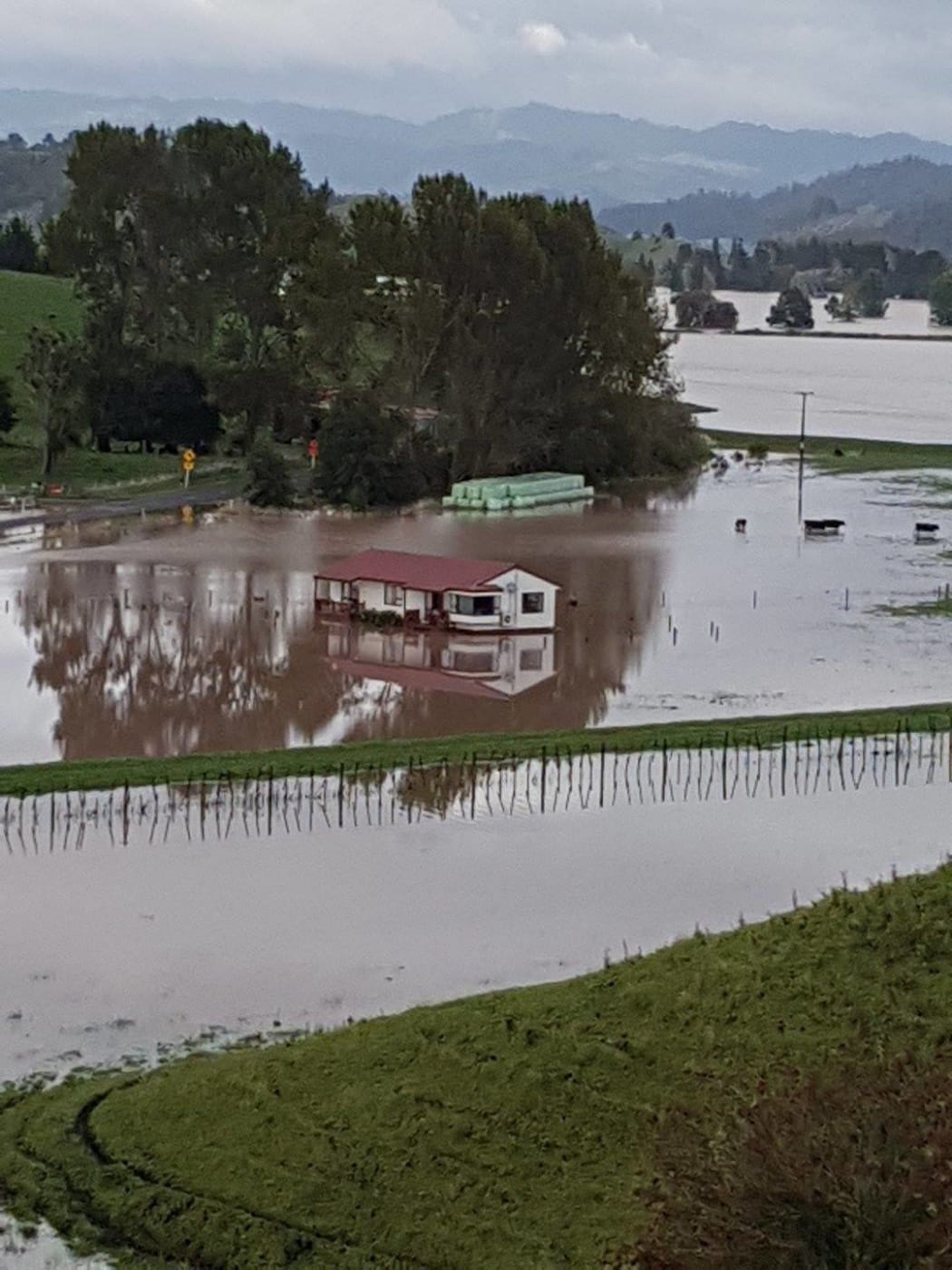 Bruce Fowl's farm near Whakatane, under floodwaters.