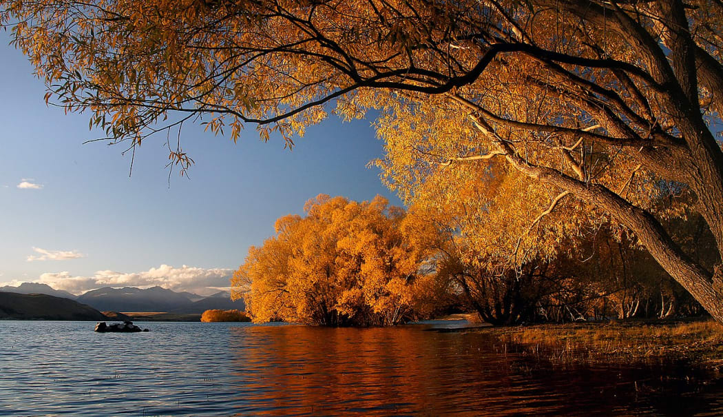Autumn at Lake Tekapo, New ZealandAutumn at Lake Tekapo, New Zealand
