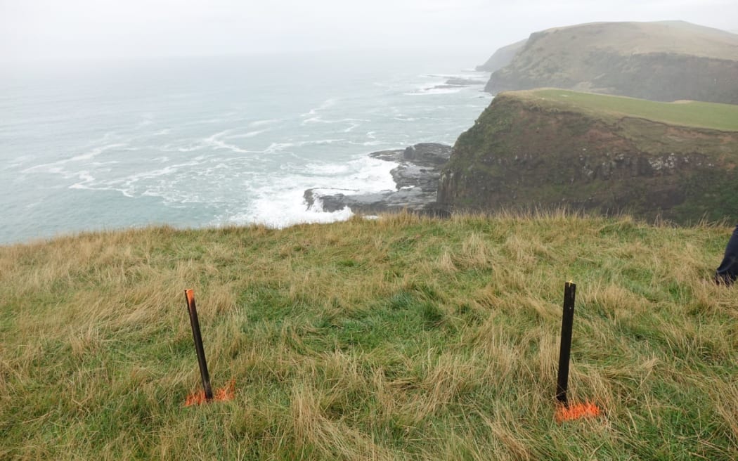 Police placed markers above Blue Cod Bay where tyre tracks came to an end. The cove, near Curio Bay, is at the centre of the search for Michael Zhao-Beckenridge, 11, and his stepfather John Beckenridge.