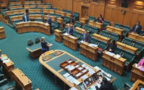 A skeleton Parliament in the house as it passes legislation to combat Covid-19.