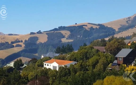 Governor's Bay residents flee flames