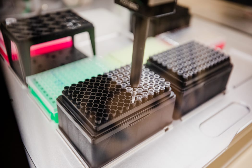 Machine sorts positive Covid-19 samples for genome testing.