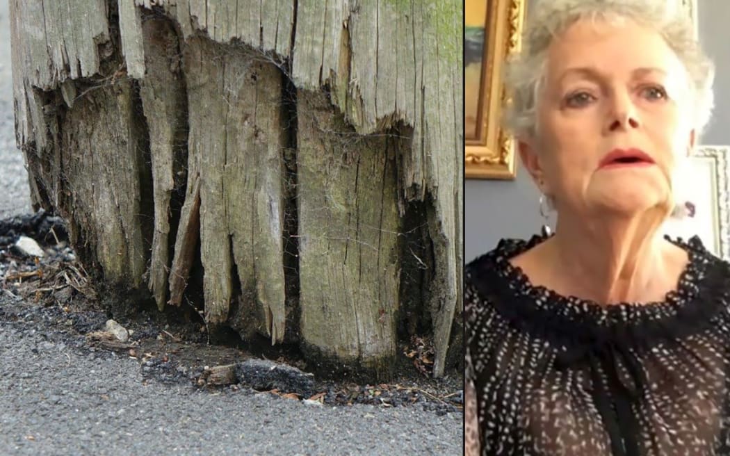 Karen Steel's husband, Roger, was electrocuted when a power pole toppled over.