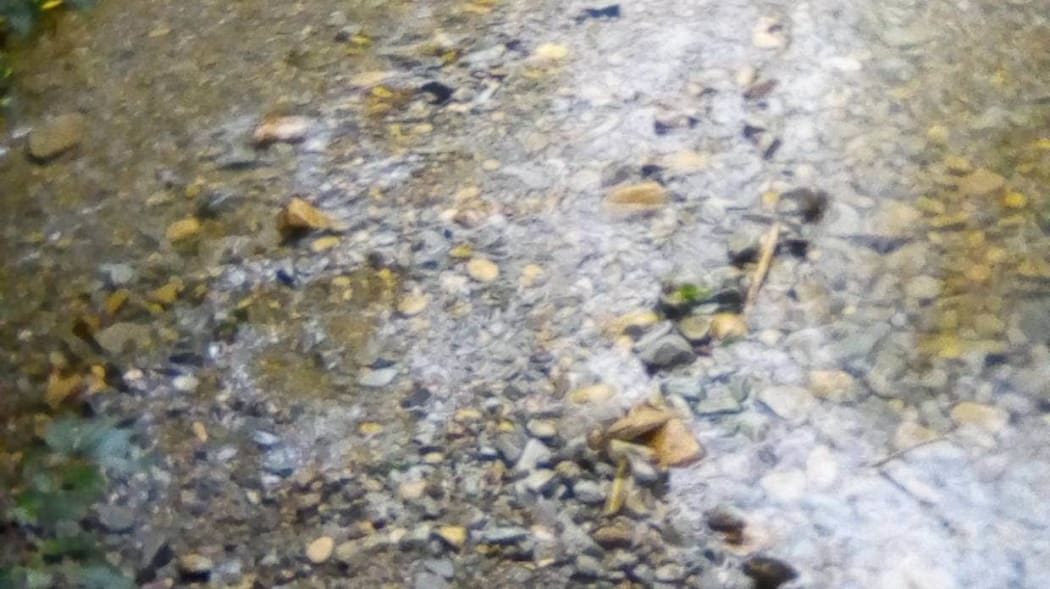 This photo shows the missing rockwork in the latest episode of alleged sabotage at Ross Lake.