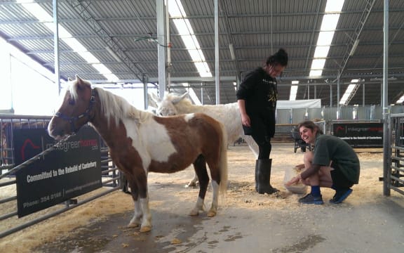 Nikita Sommerfield, right, and friend get their animals ready for the opening day.