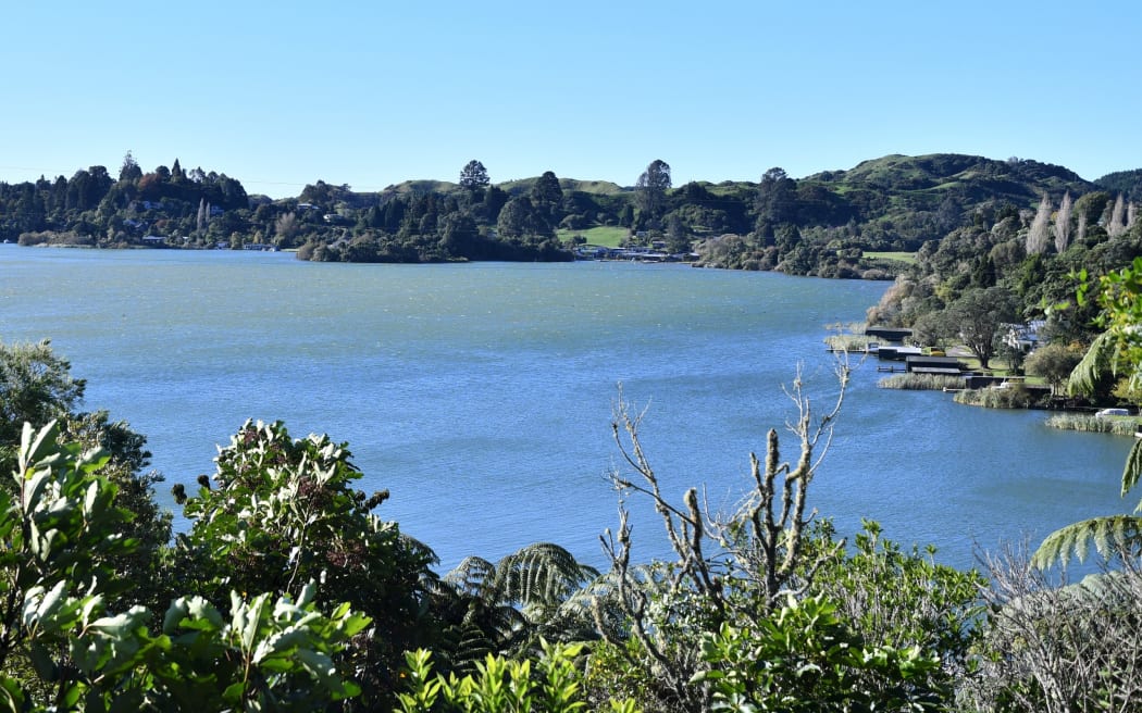 Lake Rotoiti patchworked with algal bloom discolouring the water in parts during March 2023. Photo / Laura Smith