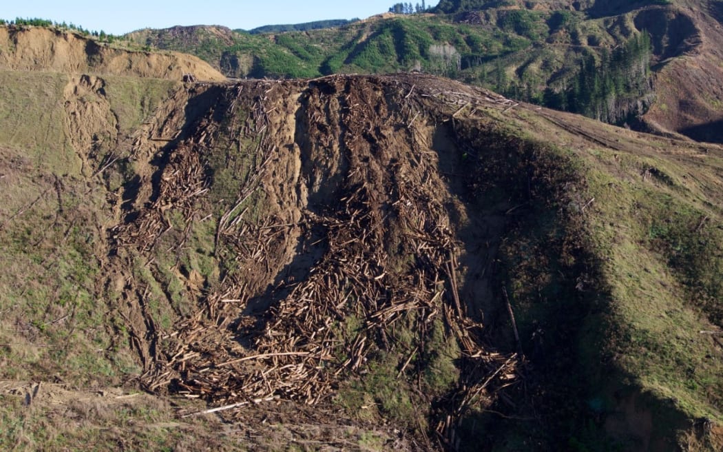 Forestry slash - Failed landing Uawa Forest