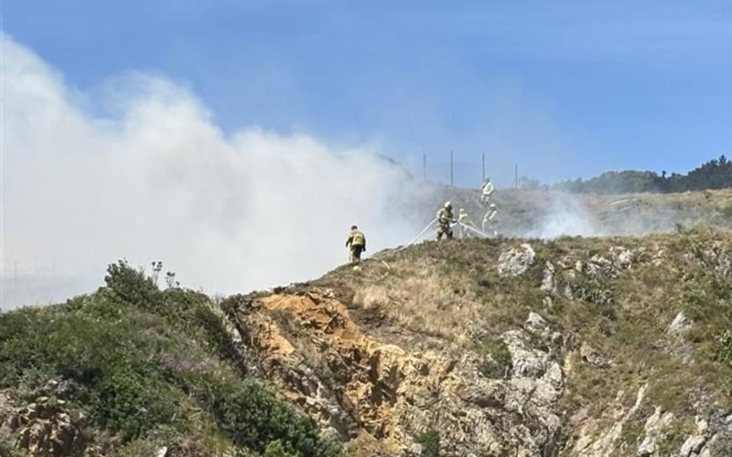 Fire crews working at a vegetation fire on the hill above the southern end of Wellington Airport near Moa Point.