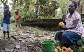 Mother of three Elsie Konovai, works on her family’s cocoa plantation, which is now earning her and her family an income.