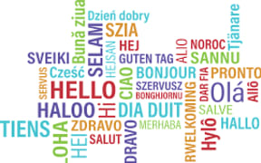 National Language Policy