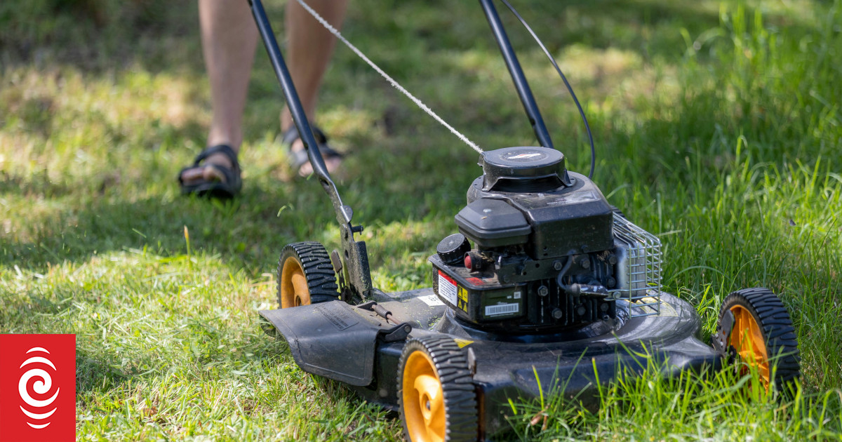 Festive spirit spurs teens to commit to neighbourhood spruce-up in Rotorua