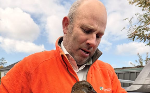 DOC Mahaanui Biodiversity Supervisor Craig Alexander removes Ranger from its temporary home - credit Kim Ranger