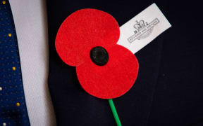 ANZAC day poppies