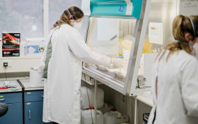 Researchers test waste water samples from managed isolation facilities.