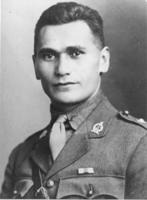 Harding Waipuku Leaf. For use on Anzac Day with Lois' Williams story.