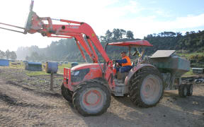free range pig farm