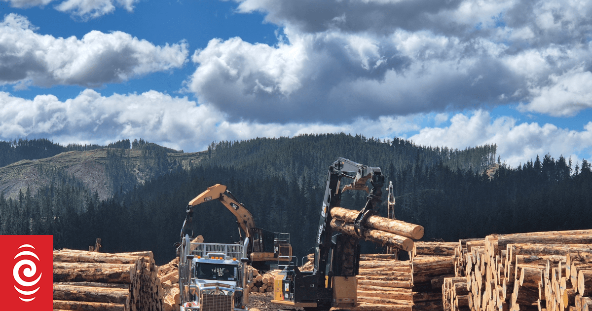 Calls for government to stump up $359 million for forestry response