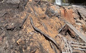 Fire damage to Fairy Falls Track in the Waitākere Ranges Regional shows damage to a large platform located near a popular swimming hole.