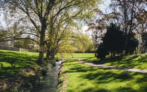 A charter agreement between Te Waiohua iwi, Auckland Council, Ōtara-Papatoetoe and Manurewa local boards, Kāinga Ora was collaborated on to restore Puhinui Stream.