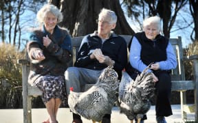 Feeding the Plymouth Rock roosters which have made themselves at home at Leslie Groves Hospital in Wakari, Dunedin, are (from left) Margaret Pennycuick (84), Grant Moody (89) and Patricia Siegle (90).