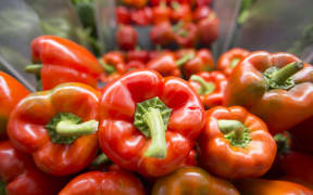 Alison Ballance and Simon Morton discover which fruits and vegetable have the most vitamin c. Science of vitamin c