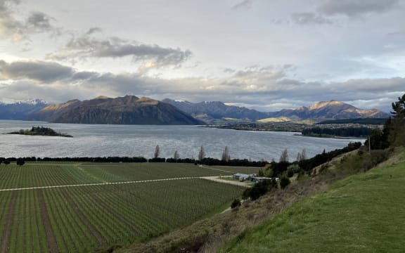 Lake Wanaka