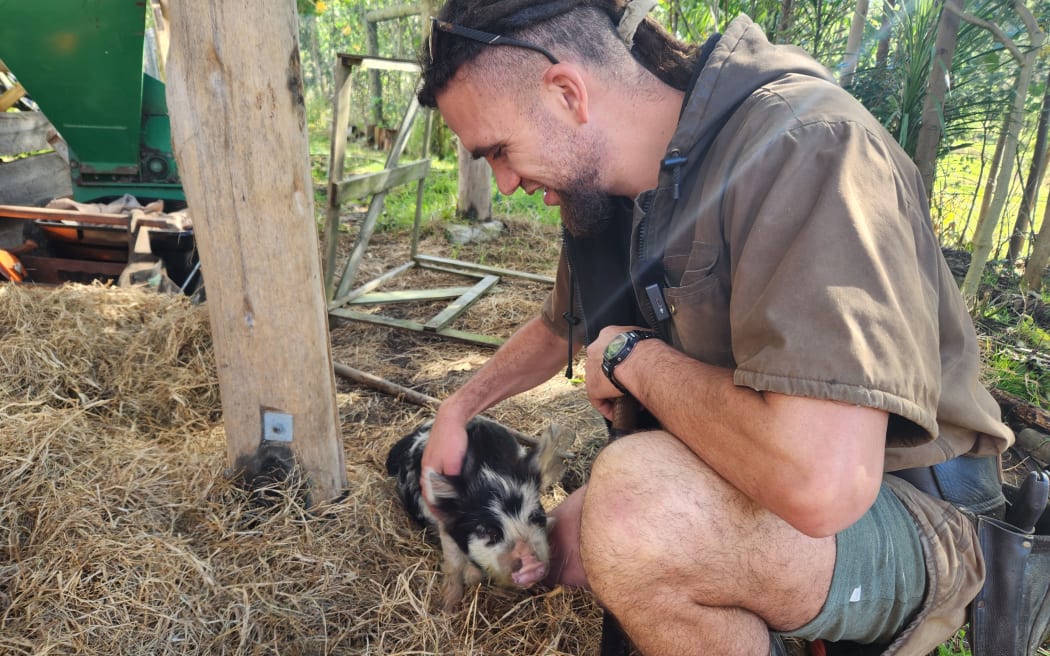 Jared with six-month-old kunekune Dragon