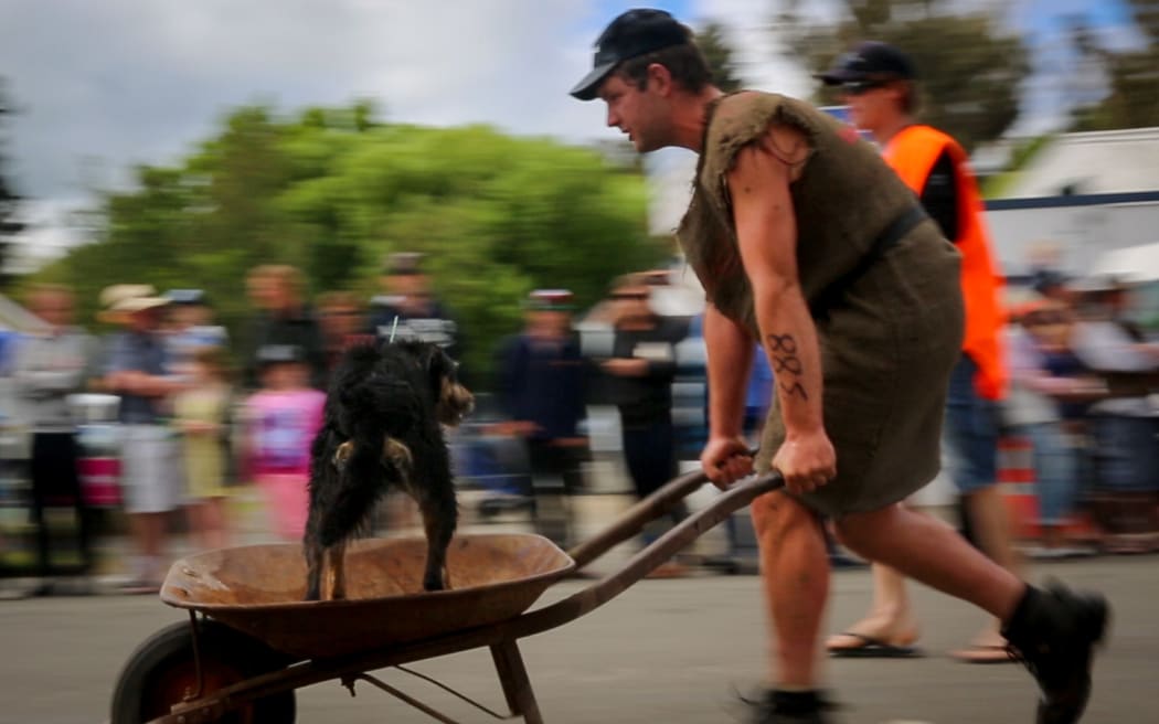 A shepherd and his Huntaway crossing the finish line at the Hunterville Shemozzle.