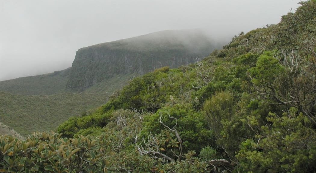 The slopes of Mount Taranaki in cloud.