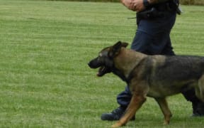 Constable Stu Rota takes his dog through a training session.