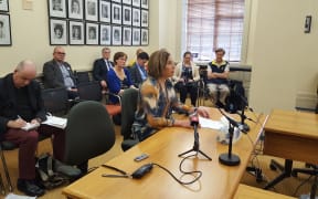 Wellington GP Mary English speaks at a select committee hearing into euthanasia.