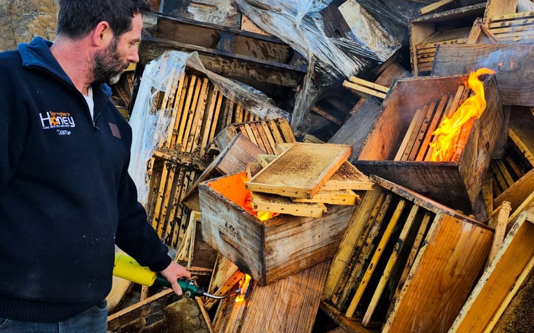 スプリングバンクの蜂蜜の巣箱はアメリカのファウルブルードによって破壊されました。 養蜂家のスティーブン・ブラウン