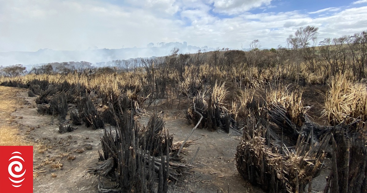 Fire near Dargaville still smouldering after eight days - Vimarsana News
