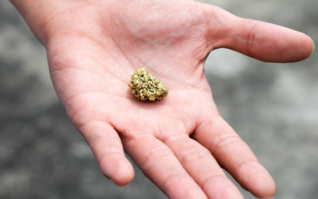 The pure gold ore found in the mine is in the hands of men.