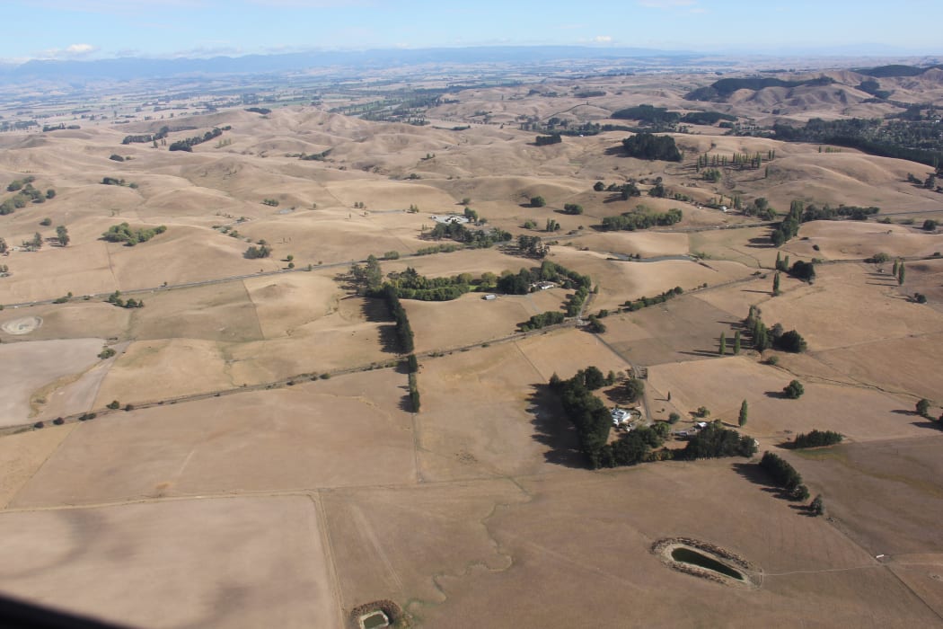 Conditions during the Hawke's Bay drought 2013.