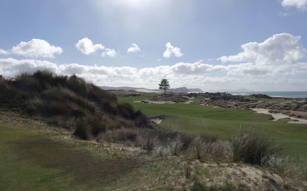 Tara Iti golf course - all the native plants come from Te Uri o Hau's cowshed nursery.