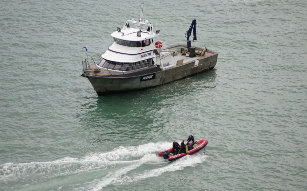 A chartered boat arrived at Blue Cod Bay to begin the operation just before 9am.
