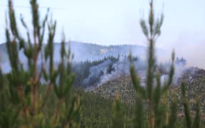 Waipoua fire
