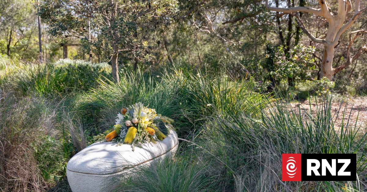 'Nature's recyclers': Growing coffins from mushrooms