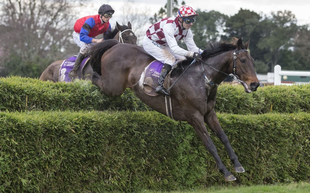 Amanood Lad ridden by Craig Thornton leads the field before going on to win in the 2014 Great Northern Steeplechase.