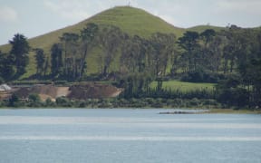Puketutu Island