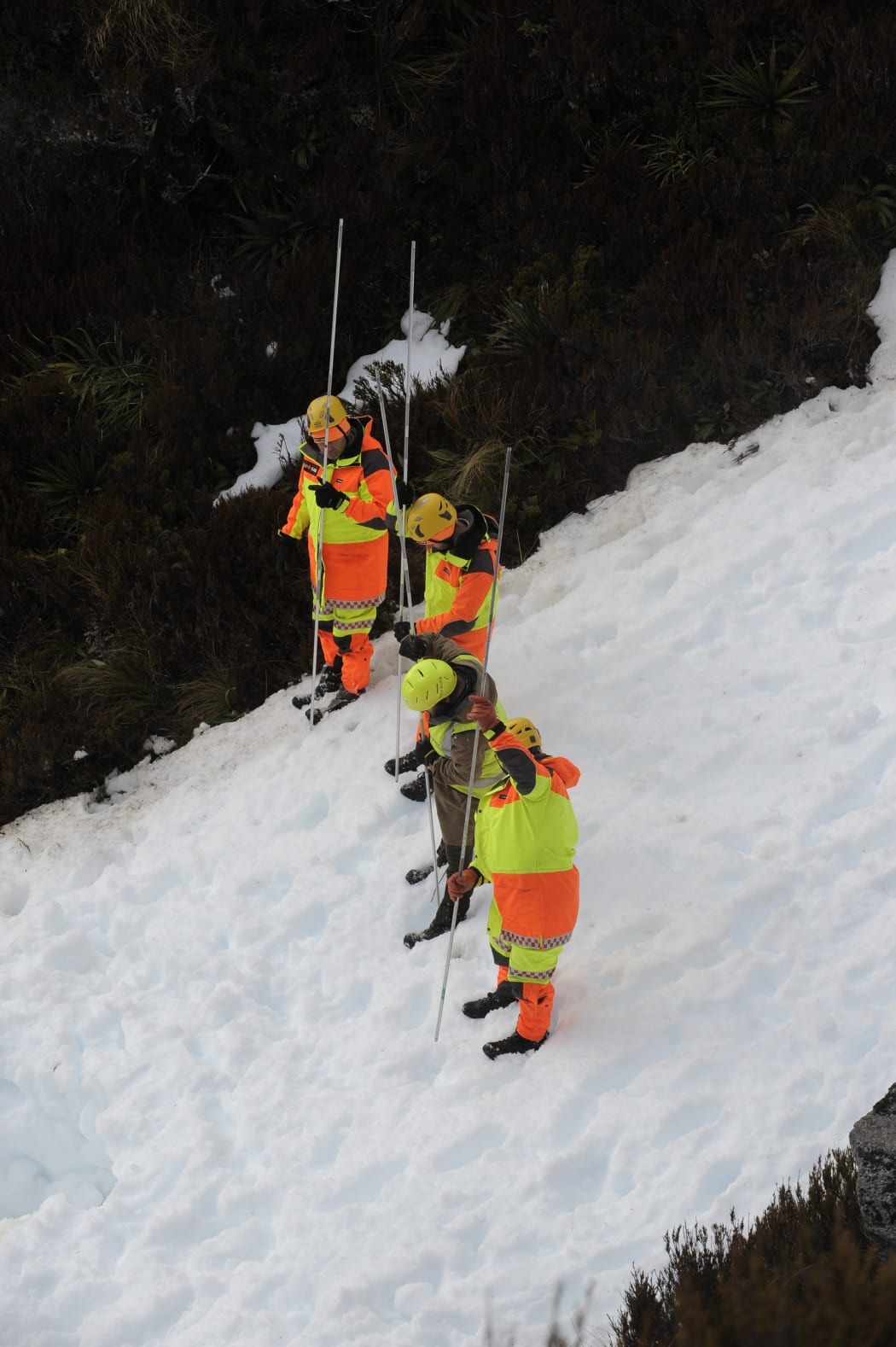 A photo released by police shows search and rescue workers near the site of the avalanche in Fiordland National Park.