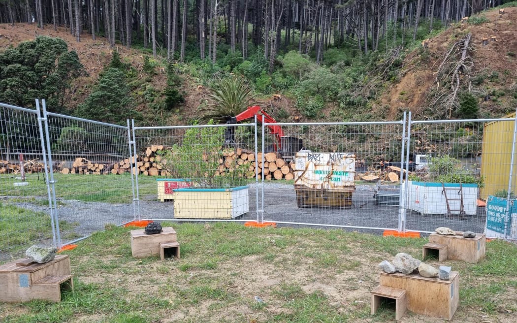 Fences at the Shelly Bay, Wellington, development is meant to keep little blue penguins, or kororā, from the construction zone but has blocked them from returning to their nesting sites.