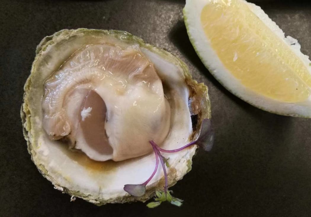 Bluff oyster