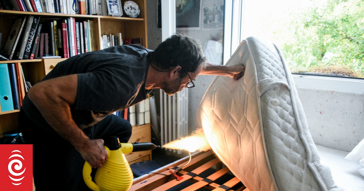 Does Paris have a bedbug problem? - Vimarsana News