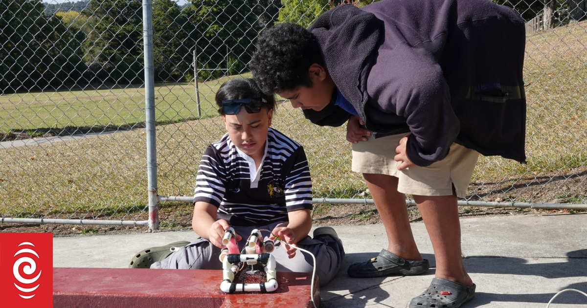 Motatau students make a splash with their underwater robotics - Vimarsana News