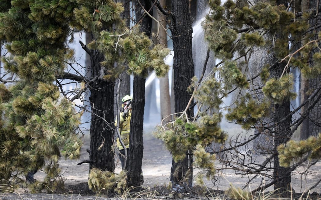 Firefighters work to put out a blaze near State Highway 1 near Burnham in Canterbury.