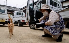 From "The Cats of Gokogu Shrine"
