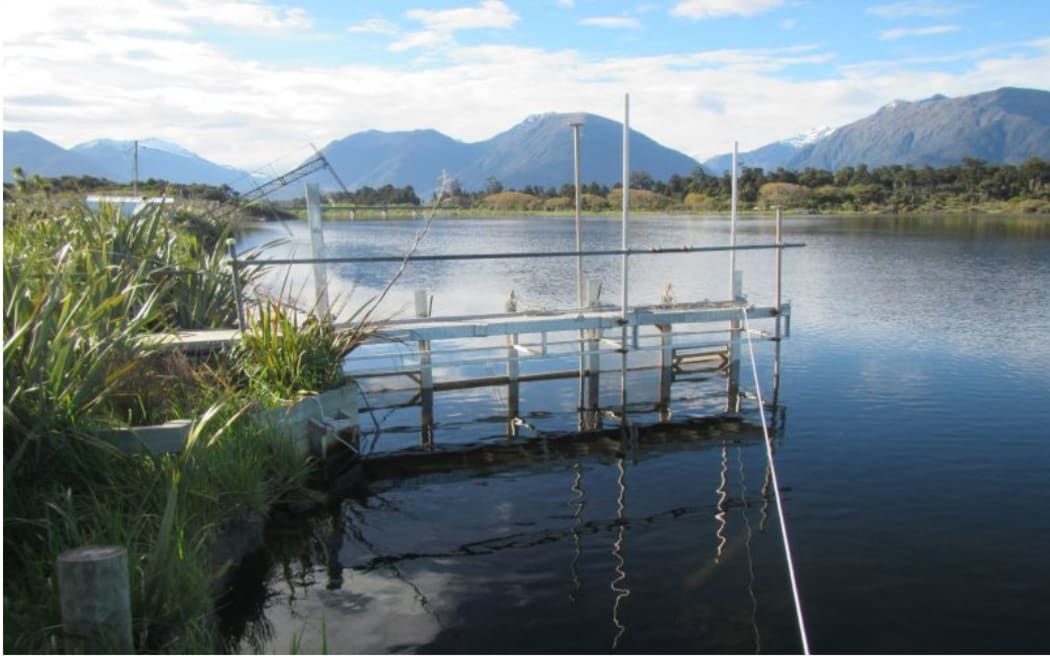 A whitebait stand in South Westland. These traditional whitebaiting spots are subject to a consent process administered by the West Coast Regional Council.